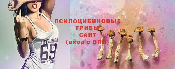 гашик Елизово
