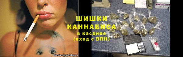 гашик Елизово