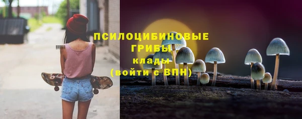 гашик Елизово