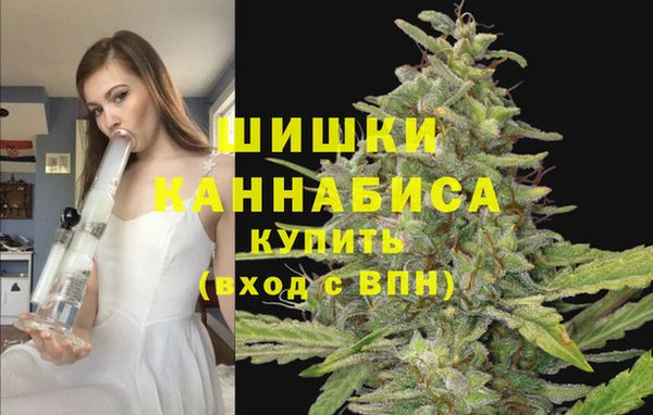 гашик Елизово