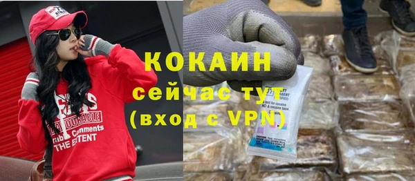 гашик Елизово