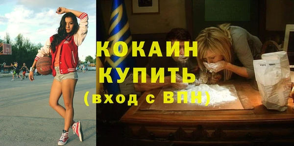 гашик Елизово